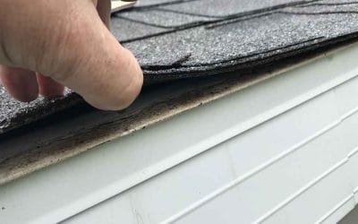 If I have roof damage, should I contact my Insurance Company first?