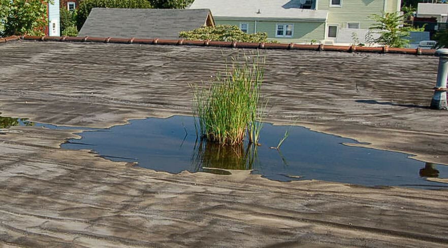 How Does Ponding Water Negatively Affect My Commercial Flat Roof?
