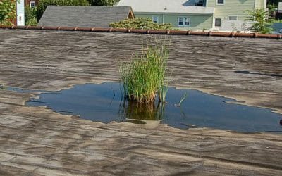 How Does Ponding Water Negatively Affect My Commercial Flat Roof?