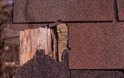 Roofing Resolutions: Maintenance Tips to Keep Your Roof in Shape All Year