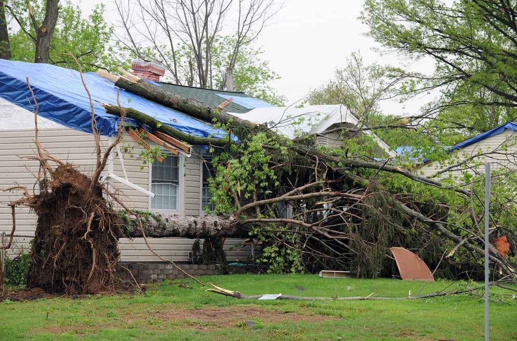What to Do If a Storm Damages Your Roof in Wichita