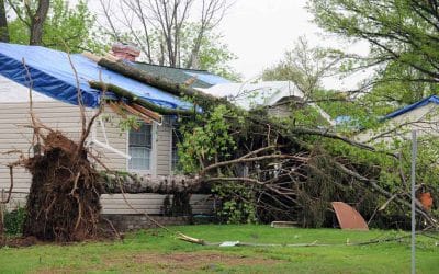 What to Do If a Storm Damages Your Roof in Wichita