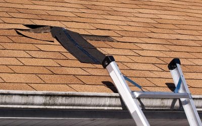 Is It Better to Repair or Replace My Damaged Roof?