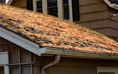 4 Tips to Help You Prepare Your Roof for Springtime in Wichita