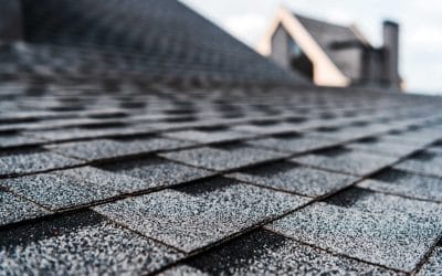 Choosing the Right Roof Shingle Color: Tips for Enhancing Curb Appeal